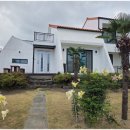 일상탈출펜션 | 일상 탈출! 네이플하우스독채펜션: 제주 서귀포에서 찾은 우리만의 완벽한 힐링 아지트