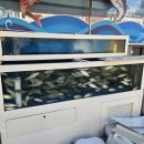 경상남도스토아 이미지