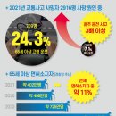 면허소지자 11%가 노인인데...고령운전 위험성 어느 정도일까? 이미지