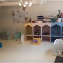 마이펫 강아지유치원 이미지