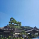 마산합포구 ⓔ-13 | [마산덕동맛집] 삼계탕 맛집 한옥 식당 &#39;13월백제삼계탕 본점&#39;