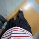 초당스포츠센터 | [ 눕오의 일상 기록장 ] 8월ㅣ물개의 계절 (1)