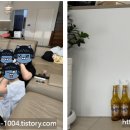 스테이 703 이미지