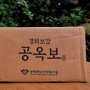 경희보감