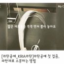 한국등공예협회