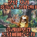 베베농장 | 분당 오리 홈플러스문화센터 ONLY플레이오감 도담베베 겨울학기5주차 수강후기_사자가 된 루미/블럭놀이