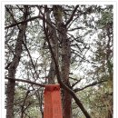 와우1리 이미지