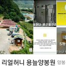 서화면 용늪길 강원 네이버블로그