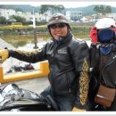 풍기인삼시장 이미지