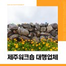 주식회사 모두와제주 이미지