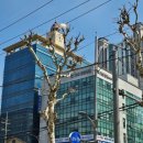 수서한방병원 | ㅊㅣ휴 한방병원(강남점) 솔직 후기