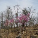 남문5길 이미지