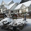 솔향기둥지 이미지