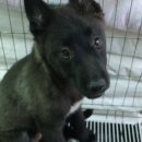 양산대로 이미지