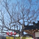 용바위경로당 이미지