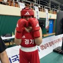 용인대SM복싱클럽 장기점 이미지
