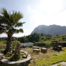 더 네모 이미지