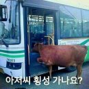 횡성 이미지