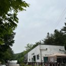 한봉축사 | 포천 하얀숲 오토&amp;글램핑 : 나무 숲속 힐링 캠핑장(나무숲37번)
