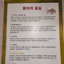 문어조개명가 이미지