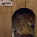아니키 | 합정역 야끼니쿠 맛집 이자카야 술집 추천 : 아니키 합정