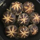 루미너스PC방 이미지