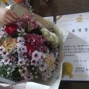 센스홍 트레블(일본 대마도편) 특가