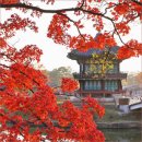 10월27일(화)오전10시.황홀한단풍.와룡공원~삼청공원~~점심식사~경복궁산책+티타임 이미지