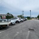 카츠 고릴라 이미지