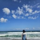 장사해수욕장 | 7번국도 코스 가볼만한곳 영덕 장사해수욕장 동해바다뷰 캠핑 힐링 명소 추천