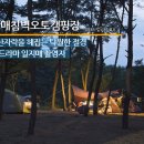 침벽캠핑장 이미지