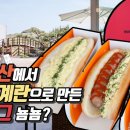 드레곤핫도그