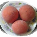 청도임금반시