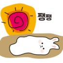 CKD 무도 휘트니스 네이버블로그