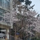 톳고개로 이미지