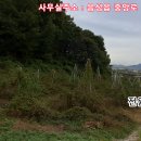 산 아래 이미지