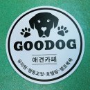 GOODOG 이미지