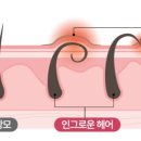 세븐데이즈헤어