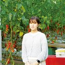 신화농장 이미지