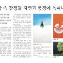 피르화실