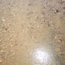 메종 드 씨엘 이미지