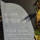 권실장 참마 찹쌀꽈배기 태백황지점 | <강원도 태백 야경 코스> 낙동강의 발원지! "황지 연못"