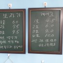 별빛플라워