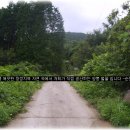 마륜농장 Daum카페