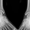 호국로789번길 이미지