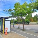 동춘1공원 이미지