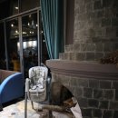 베트남 사파 참 호텔(Sapa charm hotel) 디너 후기