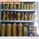 금산인삼 티스토리