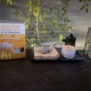 화월식당 이미지