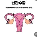 정안산부인과의원 | 선근증,자궁근종 수술후 1년만에 재발해서 다시 재수술하기 까지의 과정 part1💉💊